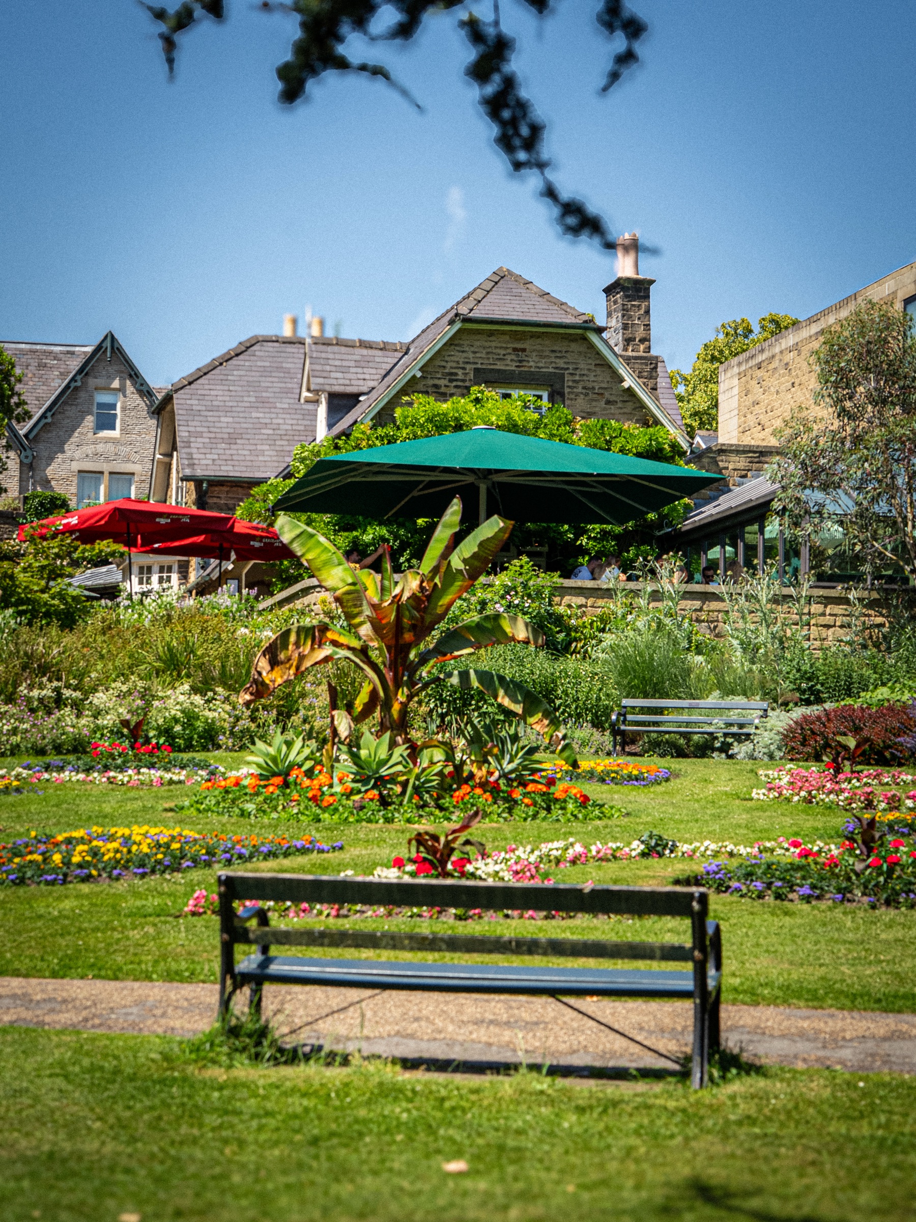 Flowerbeds in Sheffield Botanical Gardens