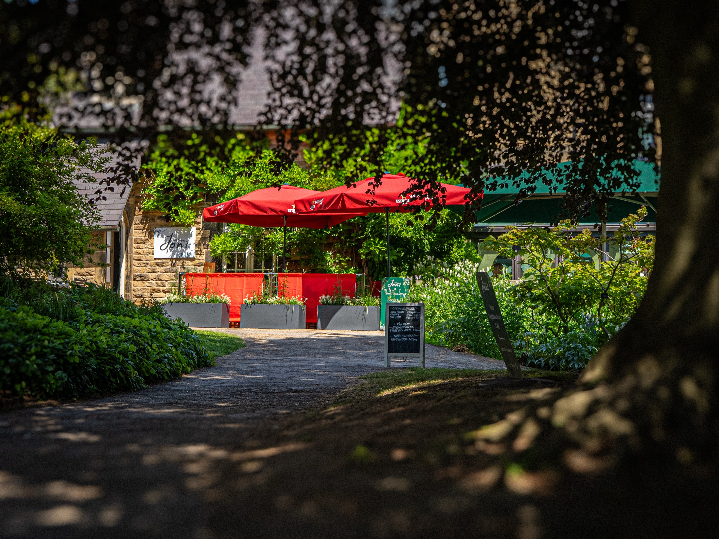 The garden path leading to Joni at The Botanical Gardens